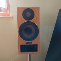 Diffusori PMC Twenty5 22i - finitura Oak rovere