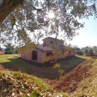 Villa o villino Penna in Teverina