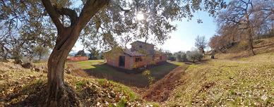 Villa o villino Penna in Teverina