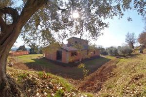 Villa o villino Penna in Teverina