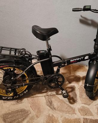 bicicletta elettrica 