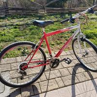 Bicicletta Mountain bike Vicini 