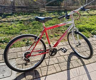 Bicicletta Mountain bike Vicini 
