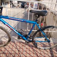 bicicletta fausto Coppi 