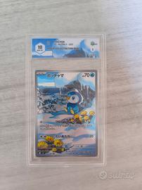 piplup 
