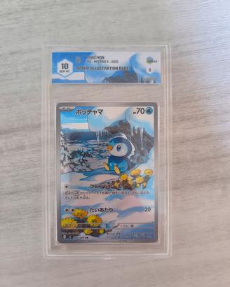piplup 