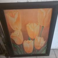 Due quadri con fiori/ 40 euro entrambi