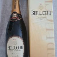 Bottiglia Berlucchi 2004