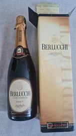 Bottiglia Berlucchi 2004