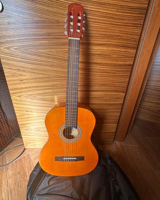 Chitarra acustica