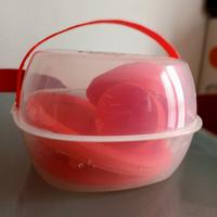 Set di piatti da picnic