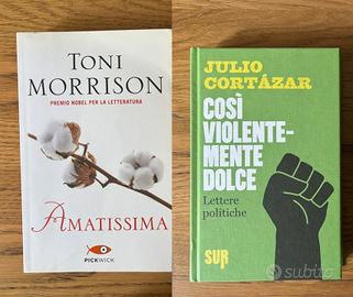 Set 2 romanzi (Morrison, Cortàzar)