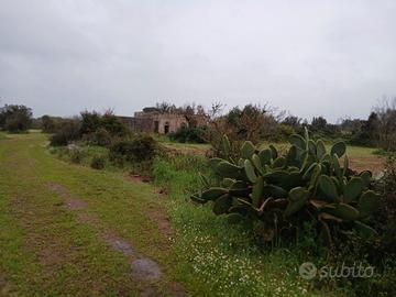 Antica residenza dell'800 nella campagna salentina