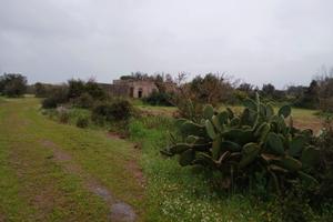 Antica residenza dell'800 nella campagna salentina