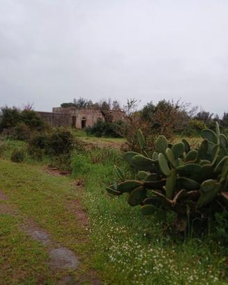 Antica residenza dell'800 nella campagna salentina