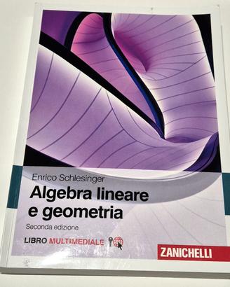 Algebra Lineare e Geometria – Enrico Schlesinger
