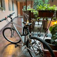 Bicicletta ragazzo 14-18 anni