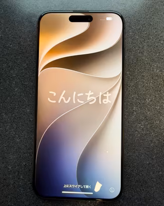 IPHONE 15 PRO MAX 256 GB