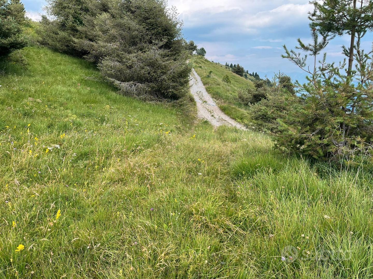 Terreno agricolo - Vista 4