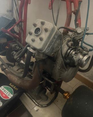 GoKart 125cc pavesi