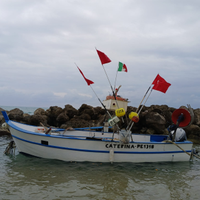 Barca 6MT con licenza gt1 da pesca