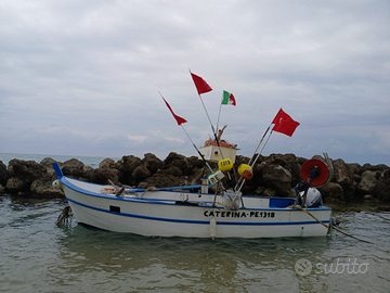 Barca 6MT con licenza gt1 da pesca