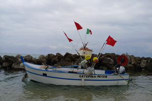 Barca 6MT con licenza gt1 da pesca