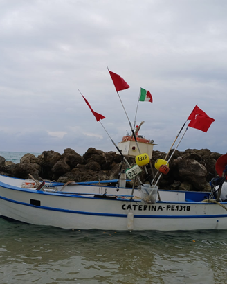 Barca 6MT con licenza gt1 da pesca