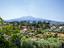 Immagine 21