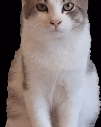 Dolce cuoricino