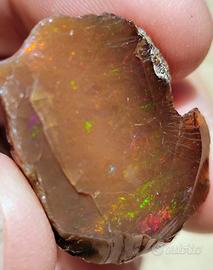 Opale Welo Grezzo Etiopia 65 ct. grammi 13