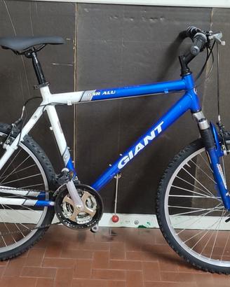 MTB GIANT