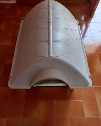 Cuccia per cane