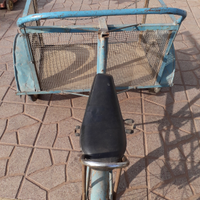 Bicicletta con cassone