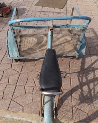 Bicicletta con cassone