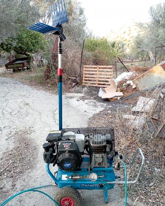 Scuotitore Paterlini