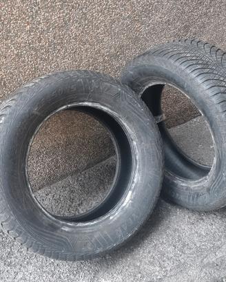 Gomme auto estive 195 55R16 