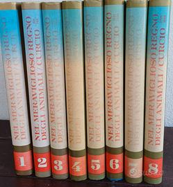 Nel meraviglioso mondo degli animali