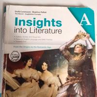 INSIGHTS INTO LITERATURE A