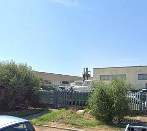 Capannone - Grosseto