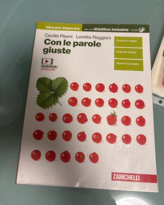 Con le ostile giuste ISBN 9788808862785