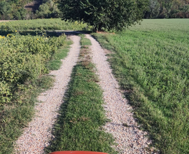 Terreno agricolo+casolare