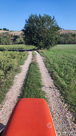 Terreno agricolo+casolare