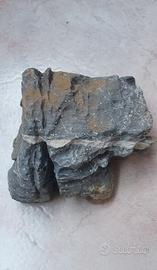 Roccia grigia per acquario/tartarughiera 