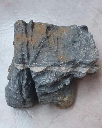 Roccia grigia per acquario/tartarughiera 