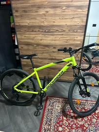 Bicicletta MTB