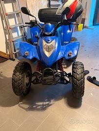 Quad kimco 250