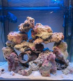 Acquario marino completo di accessori e mobile