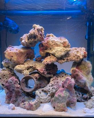 Acquario marino completo di accessori e mobile