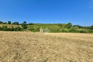 TER. AGRICOLO A MOSCIANO SANT'ANGELO